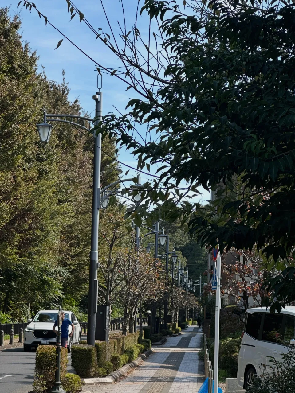気持ちの良い気候ですね。